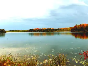 Remer Campground