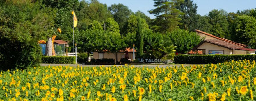 Le Talouch