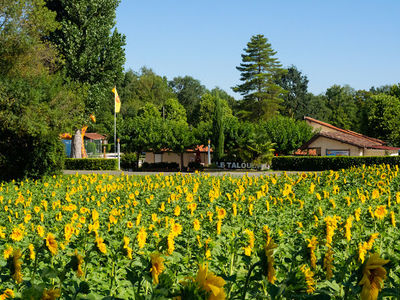 Camping Yelloh Village Le Talouch