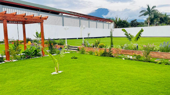 Olive bar and garden