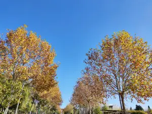 Parque Norte Patrimonial