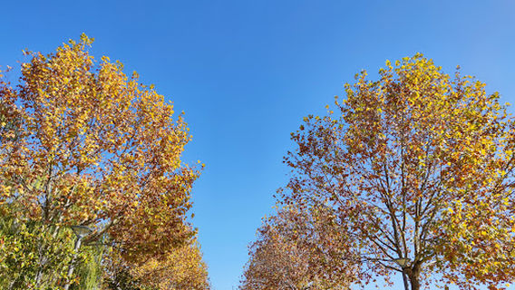 Parque Norte Patrimonial