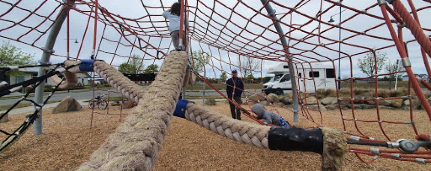 Pegasus Playground