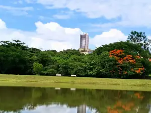 Lago Espelho D'agua