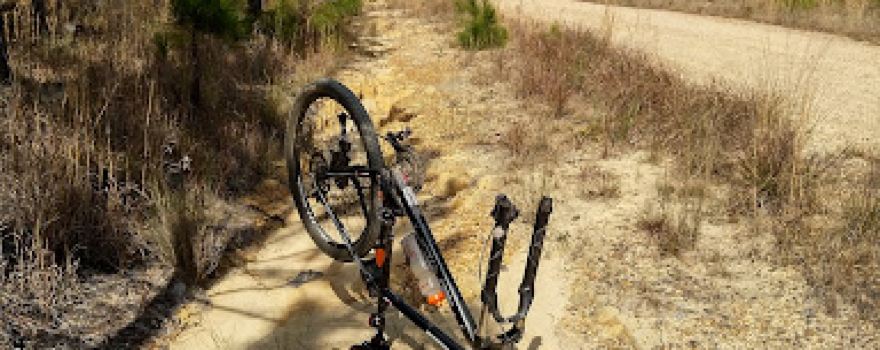 Beerburrum State Forest