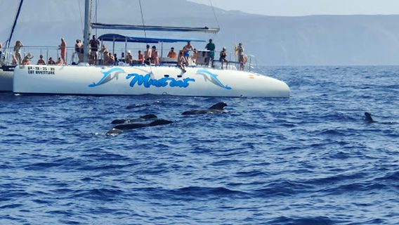 Amalfi Cinco