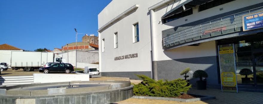 Multipurpose Pavilion of Arraiolos