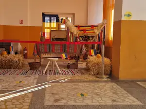 Camin Cultural Paunesti