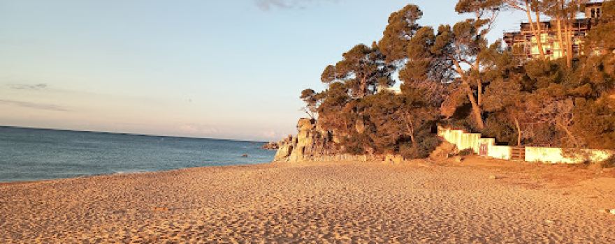 Camping Sènia Cala Gogo Internacional