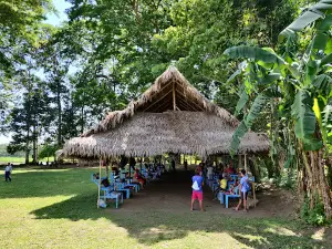 Isla de los micos