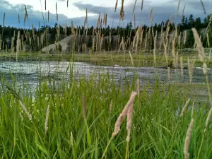 Tobacco River Campground