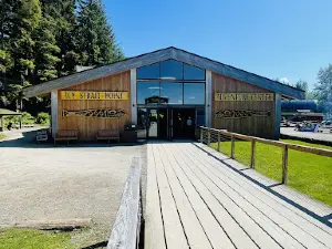 Skyglider Gondola