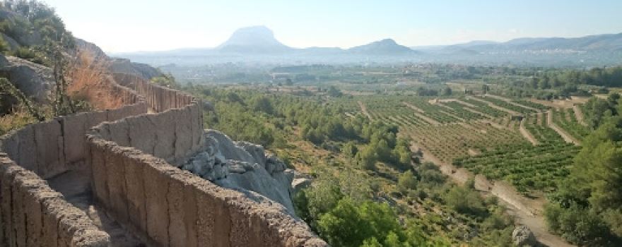 Berenador de Segària