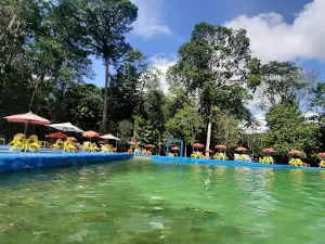 Reserva Park
