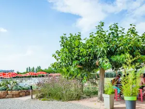 Camping Les Pommiers d'Aiguelèze