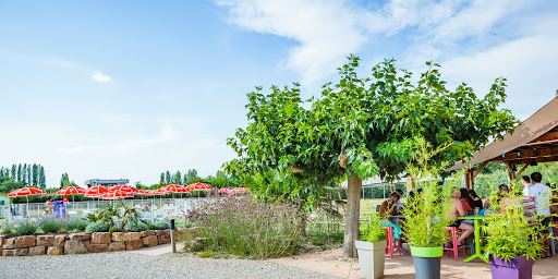 Camping Les Pommiers d'Aiguelèze