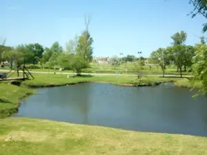 Viajero Leones Park