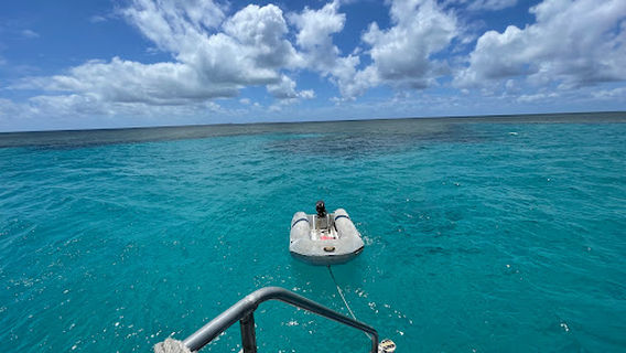 Reef Fishing Charters 1770