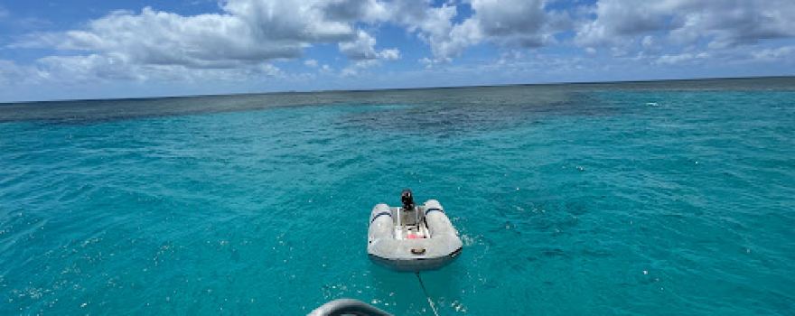 Reef Fishing Charters 1770