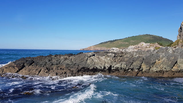 Doctor's Point Reserve