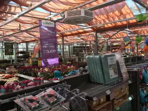 bellaflora Wels