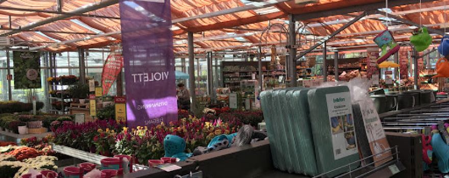 bellaflora Wels