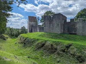 Saalewiesen zwischen Bad Neustadt und Salz