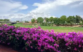 สวนชมน่านเฉลิมพระเกียรติ หน้าวัดราชบูรณะ