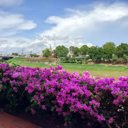 สวนชมน่านเฉลิมพระเกียรติ หน้าวัดราชบูรณะ