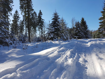 Weißer Stein City - Skipiste/Boarding/Rodeln