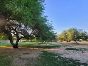 Qasr park