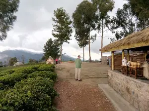 Kitabi Eco-Center