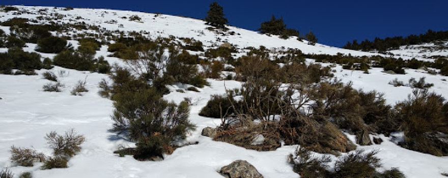 "Las Lagunillas" Recreation Area