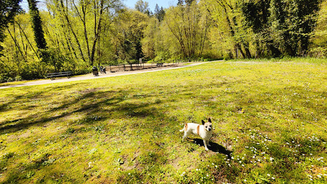 Clarks Creek Off-Leash Dog Park
