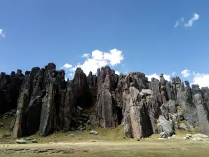 Santuario Nacional Huayllay