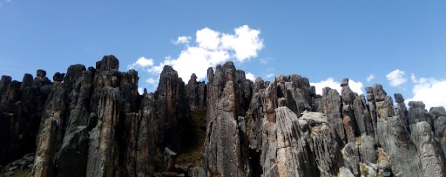 Santuario Nacional Huayllay