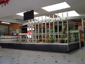Club Hogar Hispano Valencia