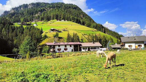 Compare 5 airports near Santa Cristina in Val Gardena
