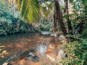 Rio Taquaral