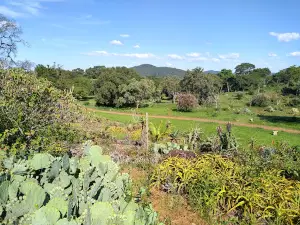 Ewanrigg Garden