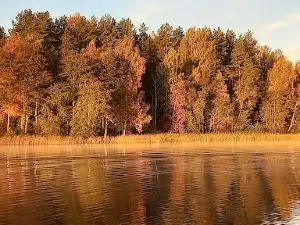 Park Pobedy