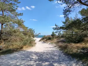 Borrbystrands Camping