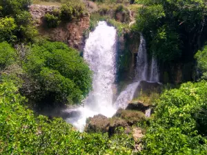 Eva y el Edén