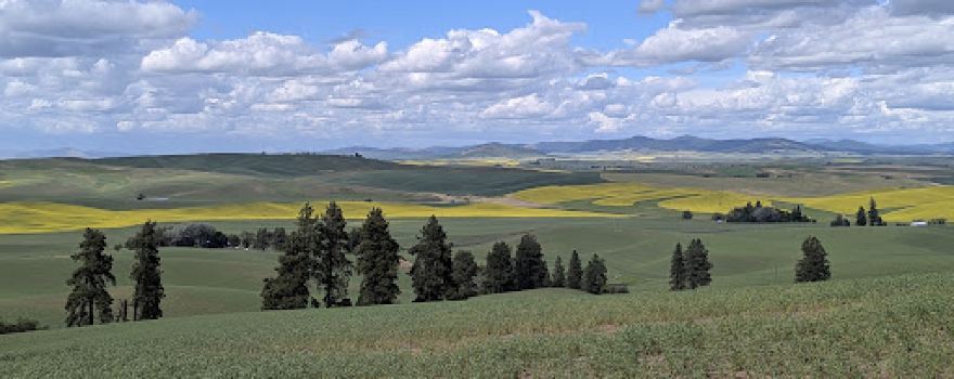 Kamiak Butte County Park