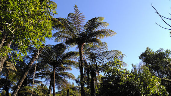 Waihi Beach Trig