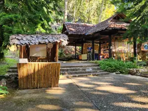 Tham Kaeo Komon Forest Park