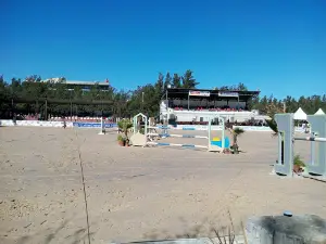 Metidja Equestrian Club Blida