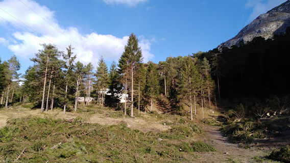 Queen's Stone