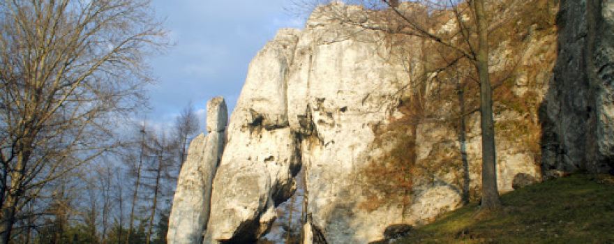 Bunkier. Suchy Połeć
