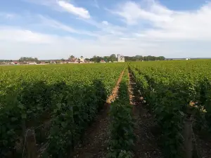 Chateau vougeot